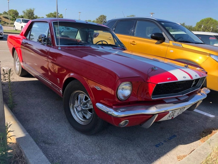 Mustang 