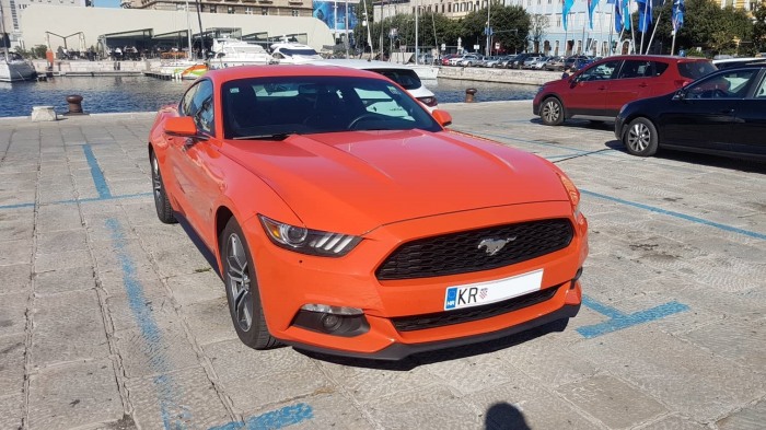 Mustang