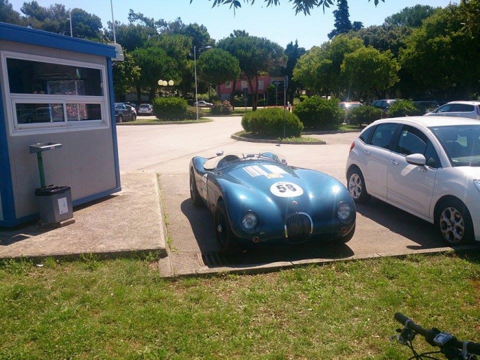  C-Type